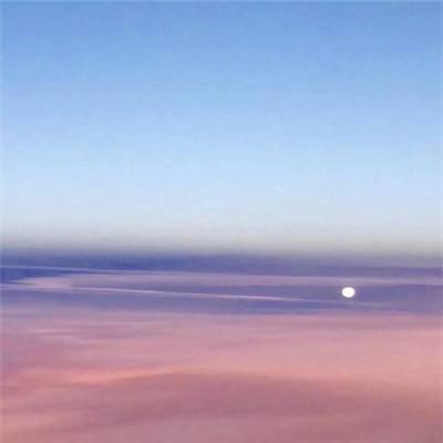 流浪星球手游官方版下载