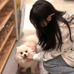 恐龙挖掘机3破解版下载